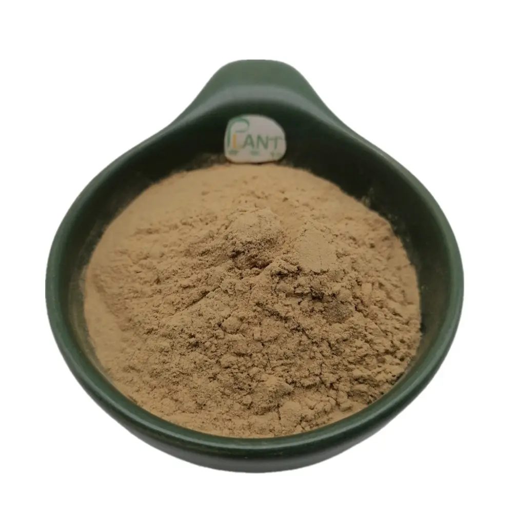 Usine 20% 40% Punicalagin extrait de grenade pure Punicalagin CAS 65995