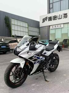 Moto Usata Suzuki GSX250, Moto Sportiva Entry-Level con Carenatura Completa e <span class=keywords><strong>Carrozzeria</strong></span> Aggressiva, Moto a Benzina - Product Image 1