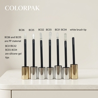 Tube de brillant à lèvres en métal de luxe, personnalisable avec logo, et flacon de blanchiment dentaire avec embout en gel de silicone