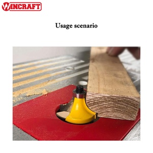 Juego <span class=keywords><strong>de</strong></span> 50 fresas <span class=keywords><strong>de</strong></span> carburo <span class=keywords><strong>de</strong></span> tungsteno <span class=keywords><strong>de</strong></span> micrograno C3 <span class=keywords><strong>de</strong></span> 1/2 y 1/4 <span class=keywords><strong>de</strong></span> pulgada para router, con estuche portátil para carpintería - Product Image 5