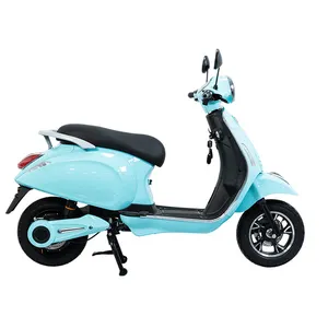 Paigeelektrikli bisiklet 48v1000w 14 inç vintage motosiklet pedalı assit moto electrica ile yetişkin kadınlar için şehir toptan ebike