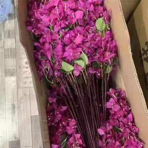 Branche de <span class=keywords><strong>Bougainvillier</strong></span> Blanc Artificiel en Soie à Suspendre, Styles Multiples, Vente en Gros, pour Décor Extérieur - Product Image 1