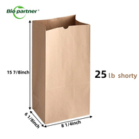 Sacs en papier kraft brun recyclés jetables de 2 LB, 4 LB, 6 LB pour la livraison de repas à emporter en restaurant