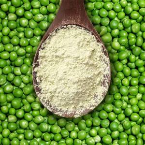 ผงโปรตีนจากถั่วลันเตา - Product Image 6