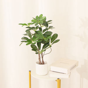 JWS3901 nuove piante artificiali sono utilizzate per il paesaggio e la decorazione dell'ufficio piante, realistiche piante di fiori artificiali - Product Image 4