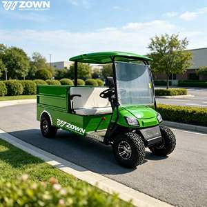 2 Seater Utility Electric Golf Cart With Detachable Cargo <b>Box</b> 48V Lithium Golf Work Buggy CE Certified - Product Image 1