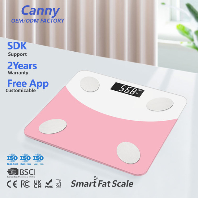 Canny B2B Factory Custom Portable USB Smart Body Fat Analyser Digital Display Electric Weighing Scale with OEM Logo