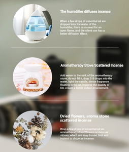 Logotipo personalizado 10ml Aceite perfumado de plantas naturales de alta calidad Aceite esencial soluble en agua de lavanda rosa para humidificador - Product Image 5