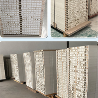 Porte de chambre/villa professionnelle en PVC/WPC blanc, étanche, sur mesure, avec serrure – Prix compétitif