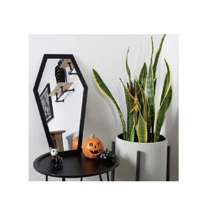 <span class=keywords><strong>Miroir</strong></span> de grande taille en forme de cercueil, curiosités - Product Image 4