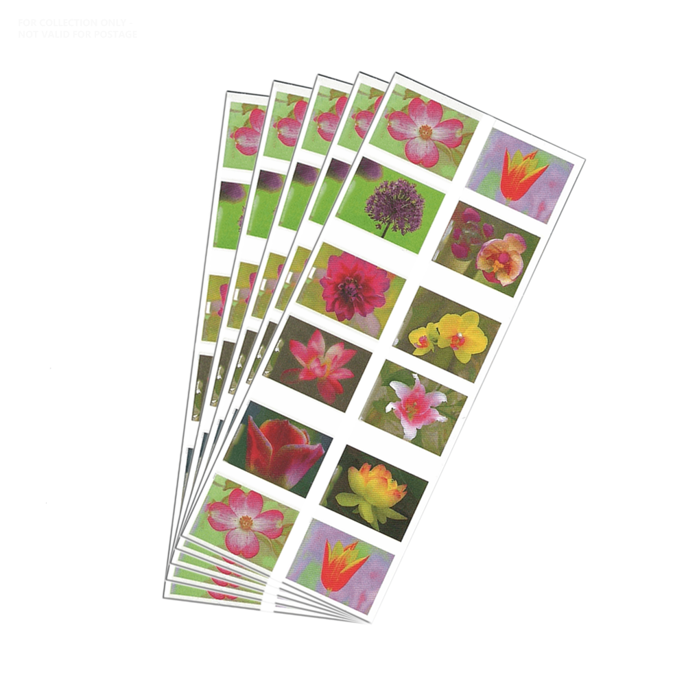 Blanco Y9 2021 Belleza de jardín