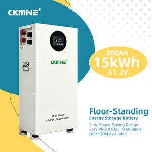 Batería de Litio de 15kwh, 8000+ Ciclos, 51.2V 48V 300Ah, Celdas de Grado A, para Sistema de Almacenamiento de Energía con Inversor Solar de 6kw <span class=keywords><strong>8kw</strong></span> 10kw 12kw - Product Image 1