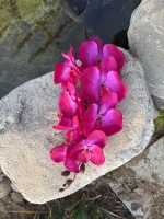 Fleurs d'orchidées Phalaenopsis artificielles en soie 3D, toucher réaliste, décoration pour la maison, salon, remise de diplôme, Pâques, vente en gros