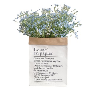 Flores Artificiales de Baby's Breath de Kch, Plástico de Alta Simulación, Decoraciones para Bodas, Ramos, Accesorios para Fotos - Product Image 5