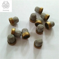 Saringan Bahan Bakar Titanium 16mm Khusus dengan Jaring Penahan Pelarut untuk Penggunaan Otomotif dan Industri
