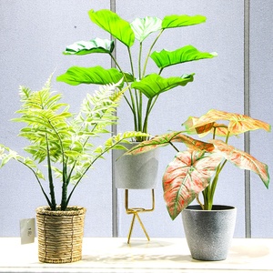 Plásticos <span class=keywords><strong>plantas</strong></span> artificiales bonsái decoración del hogar <span class=keywords><strong>plantas</strong></span> <span class=keywords><strong>de</strong></span> <span class=keywords><strong>interior</strong></span> artificiales <span class=keywords><strong>con</strong></span> maceta jardín árbol en maceta moderno Mini maceta <span class=keywords><strong>de</strong></span> plástico - Product Image 2