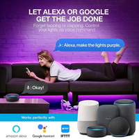 Nouveau modèle Alexa Google Tuya 5050 12V Flexible RGB TV rétro-éclairage kit Smart WIFI led bande lumineuse