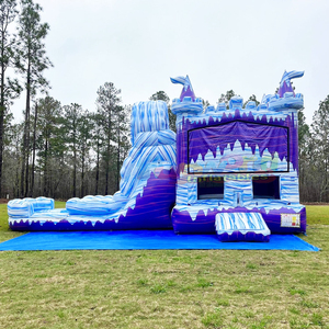 Wet Dry Outdoor Commercial Kids Jump Bouncing Castle Combo Inflatable Ice Palace Bounce House Water <b>Slide</b> 500KG Capacity 3-year - Product Image 3