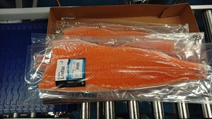Phi Lê Cá Hồi Thái Bình Dương Đông Lạnh Cung Cấp Trực Tiếp Từ Nhà Máy Giá Tốt - Product Image 4