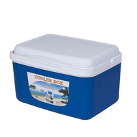 Glacière portable 8L Mini glacière isotherme Boîte à glace pour le camping en plein air Pique-nique Voiture 48H de rétention de la glace Boîte à glace pour aliments