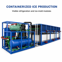 Grande machine à glace en blocs conteneurisée pour usine de produits de la mer, entrepôt de pêche et refroidissement industriel