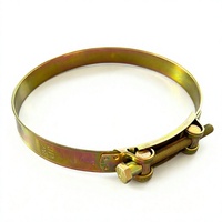 Collier de serrage à vis sans fin en acier inoxydable de style européen 226 mm avec finition bruniée