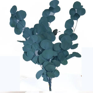 Hojas de Eucalipto Eternas 120g, Ramo de Hojas de Eucalipto Silver Dollar, Ramo de Hojas de Eucalipto Preservadas, Arreglo Floral - Product Image 4