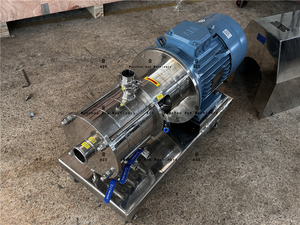 Ace Stainless Steel Food Grade Emulsion Pump Mixing Emulsion High Shear Mixer In-Line Homogenizing Pump - Product Image 4