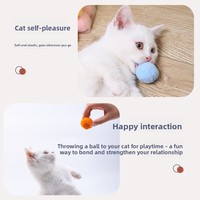 Jouet simple pour chat, balle extensible silencieuse avec pompon, résistante aux morsures, en polyester, petit accessoire pour animaux de compagnie