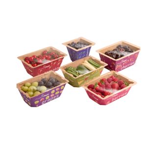 Mesin produksi kecil untuk kertas plastik wadah piring piring baki kotak makanan dari kertas mudah terurai - Product Image 6