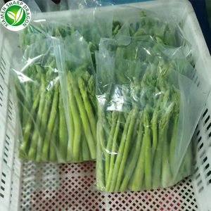 Asperges biologiques de serre Grade pelé congelé IQF un carton de 10kg en vrac Chine SD - Product Image 5