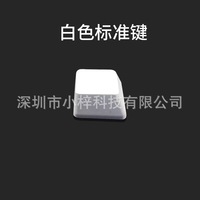 A1 Mechanical Keyboard Keycap, Laser-Etched Black & White, Single Keycap, Compatible with MX-Cross Switches L725