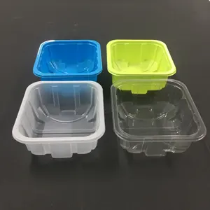 超市一次性透明塑料果盘蘑菇盘塑料食品级播种盘MGH七彩方形容器
