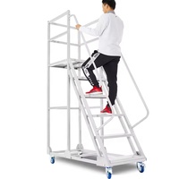 Échelle à plateforme roulante pour entrepôt, 4 roues, grande plateforme en acier mobile, échelle portable pour entrepôt