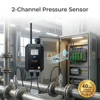 Sensor de Presión Digital Industrial 4G LoRa Modbus de Doble Canal IP67, Transmisor para Sistemas de Riego en Agricultura Inteligente