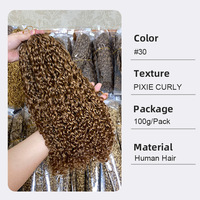 Extensions de cheveux humains Remy FYD vietnamiens à effet plume, crochet, 100g, Afro Kinky Curly pour cheveux bouclés