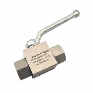Raccord à bille 2 voies en acier inoxydable à filetage NPT élevé, étanchéité fiable, longue durée de vie pour conduites d'eau et d'huile, OEM - Product Image 2