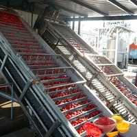 Tomatenpuree Maken Machine Fruit Jam Sap Productielijn Volautomatische Tomaat Crusher Verwerking Lijn