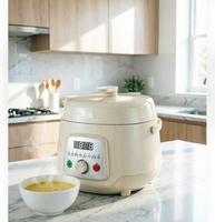 Cuisinière à riz électrique multifonctionnelle mini 2,5 L 600 W pour la vente en gros PC50-E