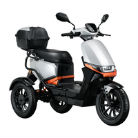 Scooter électrique à 3 roues en alliage d'aluminium 1000W, moteur sans balais, batterie au lithium étanche, autonomie de 110 km pour adultes et personnes âgées