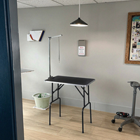 Table de toilettage ajustable pour les animaux domestiques, table de toilettage professionnel pour les chiens, table de produits cosmétiques pour les animaux de compagnie