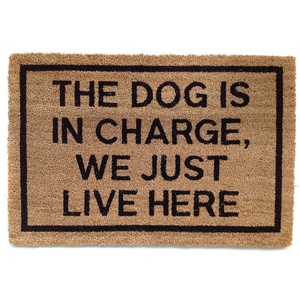 Tapis de porte en fibre de coco pour chien, bienvenue aux personnes tolérant les chiens - Product Image 6