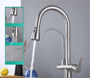 <span class=keywords><strong>Rubinetto</strong></span> da Cucina Estraibile <span class=keywords><strong>a</strong></span> Doppio Uso in Acciaio Inox 304, <span class=keywords><strong>Rubinetto</strong></span> <span class=keywords><strong>a</strong></span> <span class=keywords><strong>3</strong></span> <span class=keywords><strong>Vie</strong></span> con Purificatore per Acqua Fredda e Calda, Immagine e Video Personalizzabili - Product Image 3