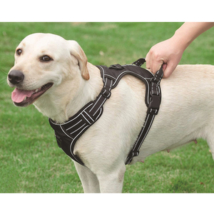 Manufacturers Oem Personalized Custom <strong>Wholesale</strong> Adjustable Luxury Custom No Pull Dog <strong>Harness</strong> Set Pet <strong>Harnesses</strong> Dog <strong>Harness</strong> - Product Image 5