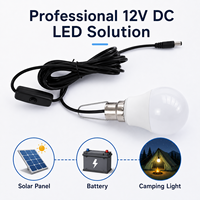 Ampoule LED avec câble de 3 m/5 m et interrupteur, 3 W/5 W/7 W, culot E27/B22, idéale pour système solaire domestique, camping, éclairage d'urgence