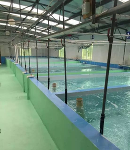 Couverture de revêtement imperméable 4 m² Usine de <span class=keywords><strong>peinture</strong></span> de piscine sous-marine pour piscines à poissons en ciment utilisé dans l'élevage de poissons et de crevettes Koi - Product Image 2