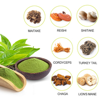 Boissons solides au matcha aux champignons mélangés en gros | Mélange d'herbes | Formule personnalisée de marque privée OEM | Lions Mane Reishi Chaga