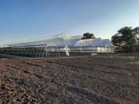 Serre électrique hydroponique en acier inoxydable, pour zone tropicale
