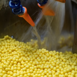 Pallini Professionali Premium da Softair Goldenball 0.30g 5.95+/-0.01mm 1kg 3333 Colpi BBs Goldenball per Softair - Product Image 4