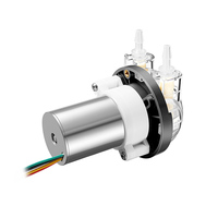 PENGPU 24V Mini pompe péristaltique haute précision 0-240mLPM DC moteur sans balais pompe à eau liquide faible BPT tuyau OEM personnalisable